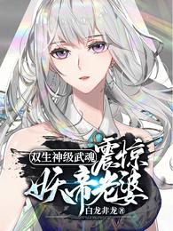 双生神级武魂,震惊妖帝老婆!洛凡尘苏玖儿