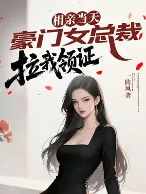 相亲当天，豪门女总裁拉我领证